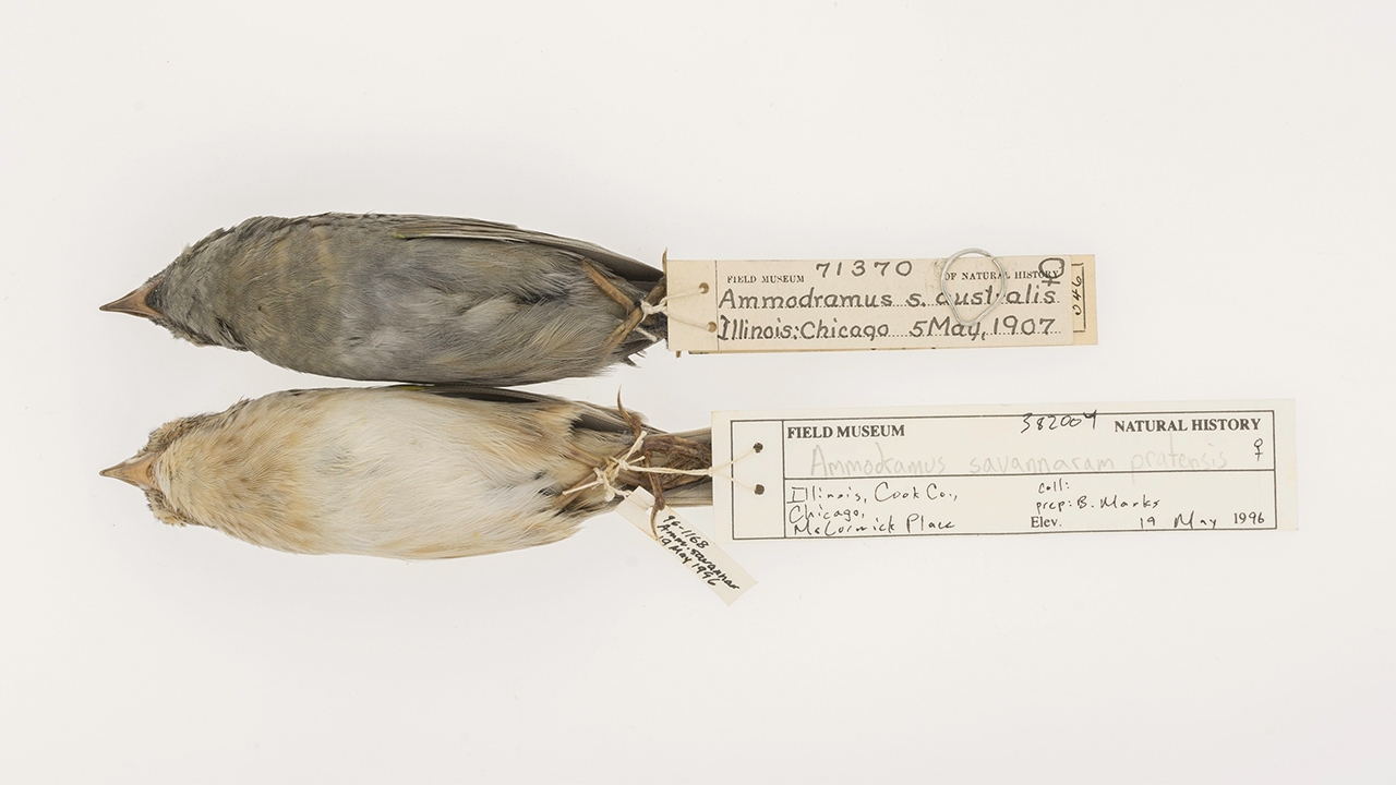 ไขความลึกลับการเปลี่ยนแปลงสภาพภูมิอากาศ