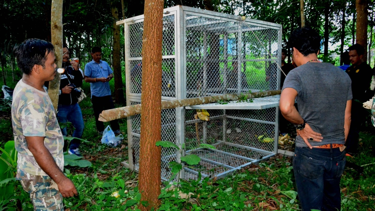 ชาวบ้านผวาหมี ไม่กล้าไปไหน เจ้าหน้าที่วางกรงใส่อาหารล่อ เชื่อจับได้แน่