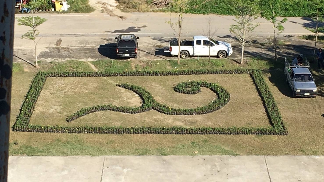 วัดคุณพุ่ม จ.พิจิตร ประดับต้นดาวเรืองเลข ๙ เพื่อน้อมแสดงความอาลัย