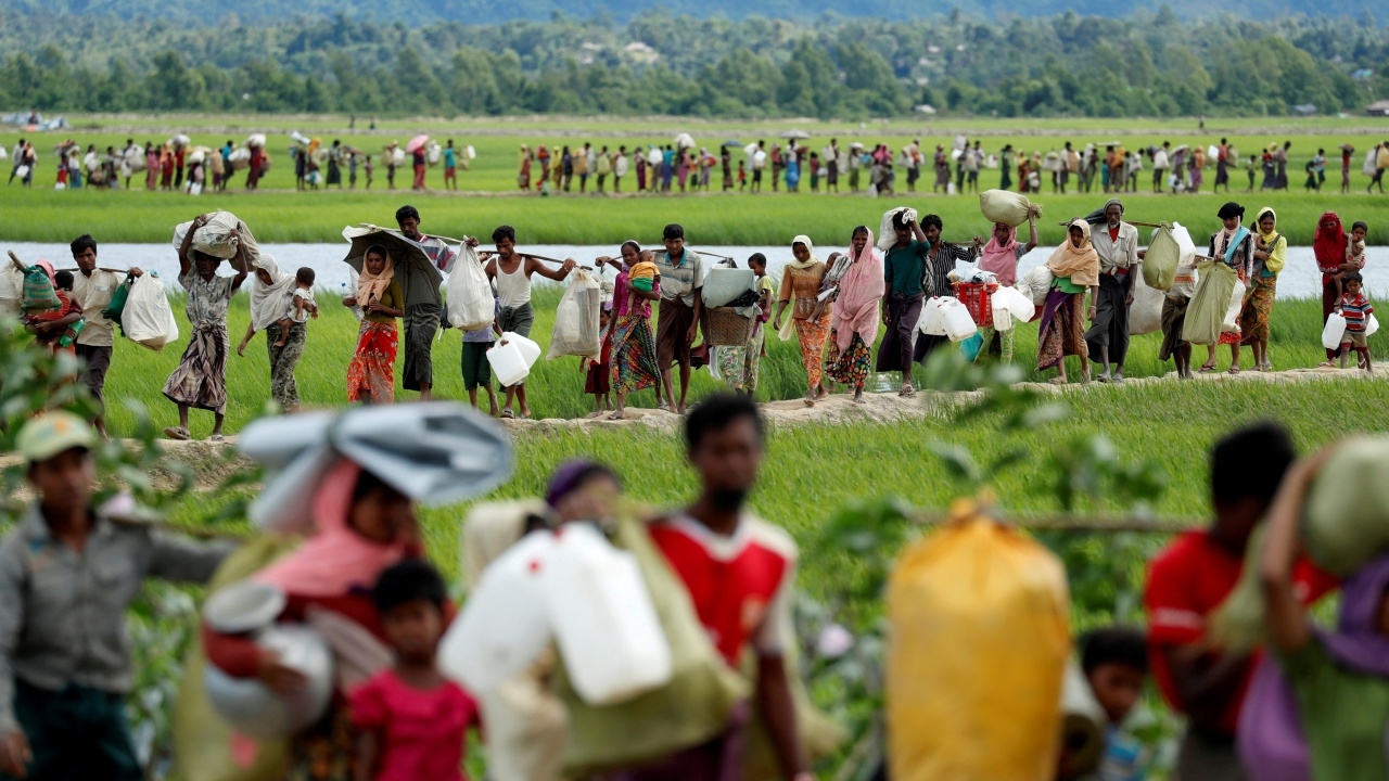 เมียนมาเล็งริบที่ดิน-เกี่ยวข้าวโรฮีนจาขาย