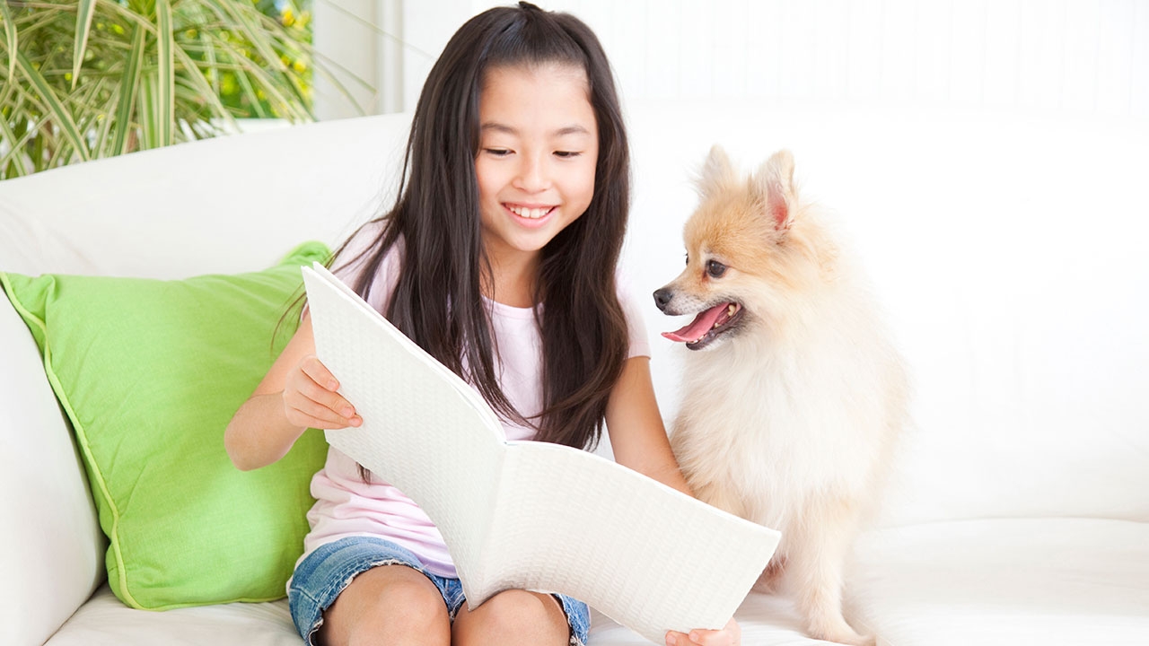 หมาช่วยเด็กอ่านหนังสือ