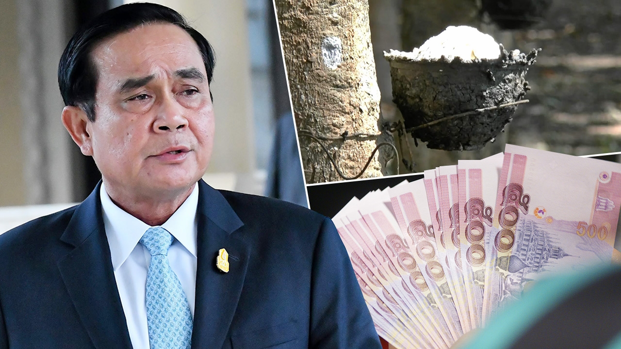 เพิ่มสินเชื่อซื้อยาง 2 หมื่นล้าน "บิ๊กตู่" ขออย่ากดดันชูแก้ปัญหาทั้งระบบ