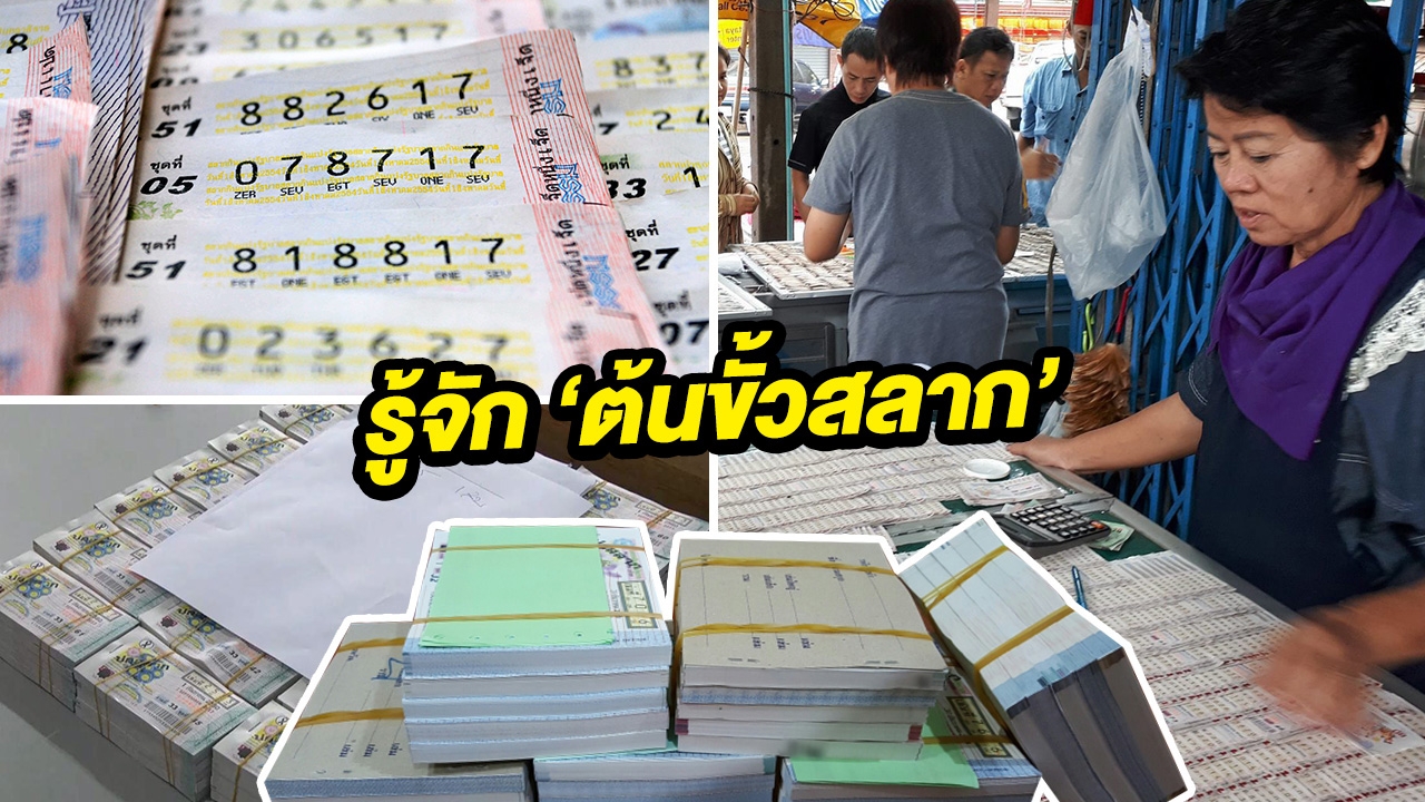 รู้จัก ‘ต้นขั้วสลาก’ มีจริงไหม ยืนยันได้หรือใครซื้อไป?