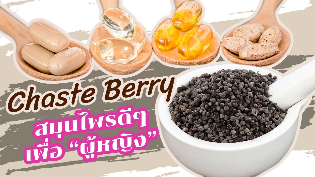 "สมุนไพร" Chaste Berry 7 ประโยชน์แก้ผู้หญิงปวดท้องประจำเดือน