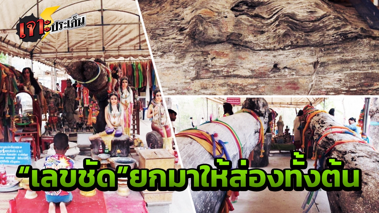 ลาภก้อนใหญ่ ให้รางวัลที่1ซ้ำซ้อน ชาวบ้านแห่ถูตะเคียนยักษ์ วัดไพรพัฒนา