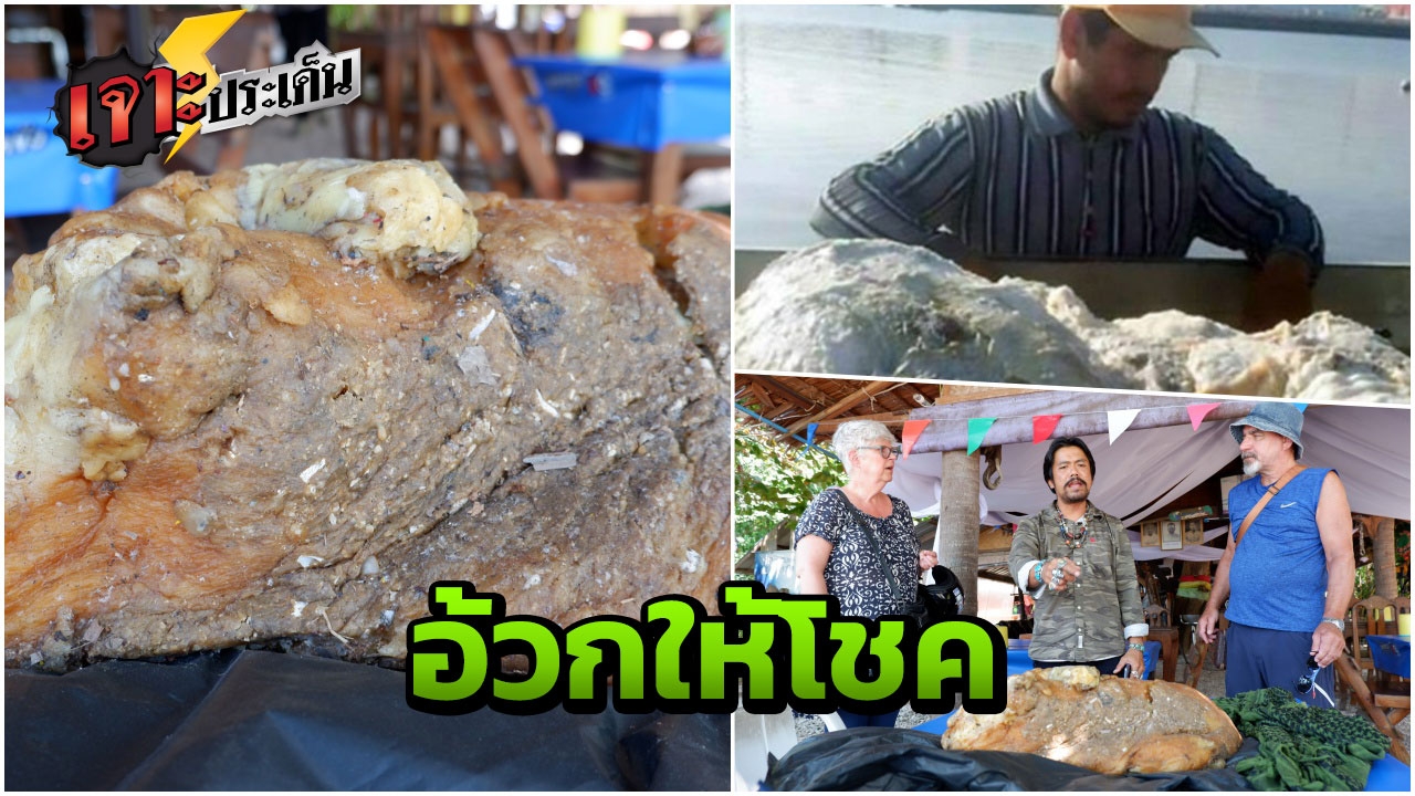 อ้วก 100 ล้าน เหม็นมาก ลาภลอยจากวาฬหัวทุย ใครเจอ เป็นเศรษฐีเพียงพริบตา