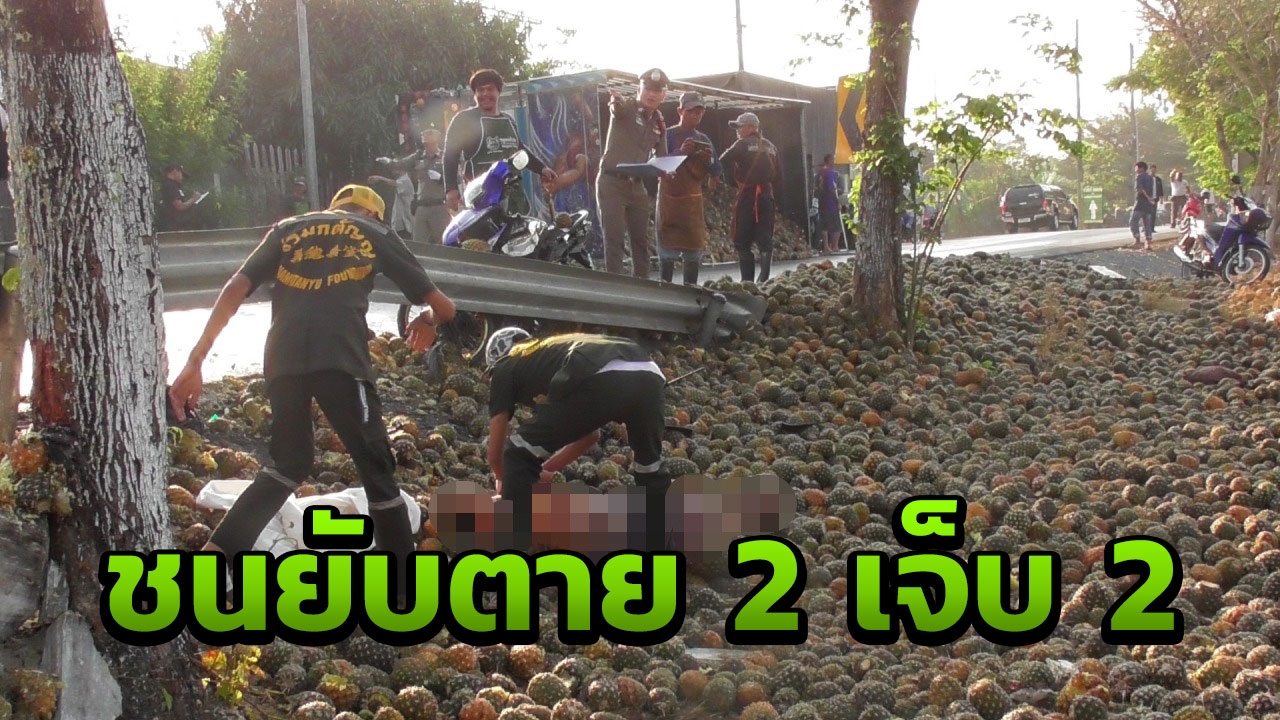  รถพ่วงบรรทุกสับปะรดซิ่งหลุดโค้งพลิกคว่ำชนจยย.ตาย2สาหัส2ที่นครปฐม