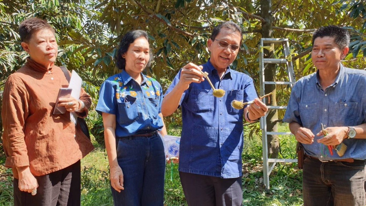 พ่อเมือง-เกษตร จ.นนทบุรี เตรียมจัดมหกรรมทุเรียนนนท์