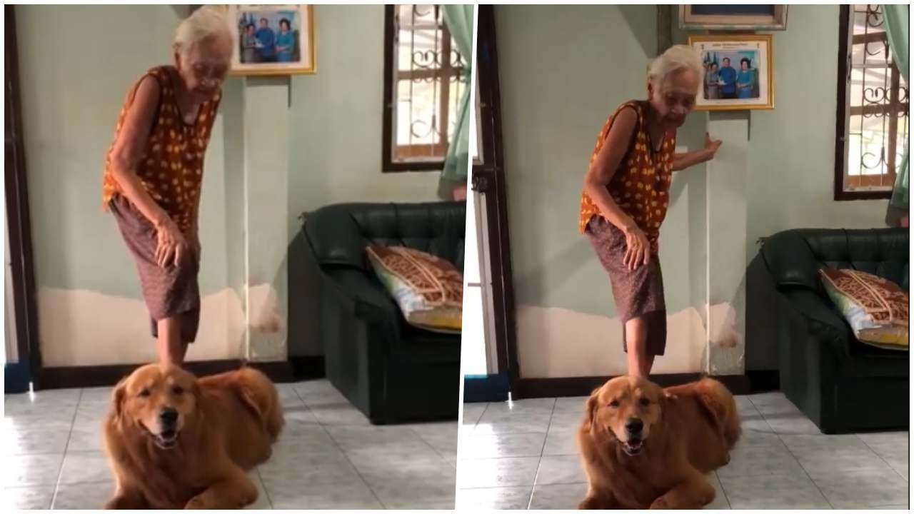 น่ารัก! 'คุณยาย' ถาม 'ลีโอ' สงกรานต์ไม่กลับไปหาพ่อหาแม่บ้างหรือลูก (คลิป)