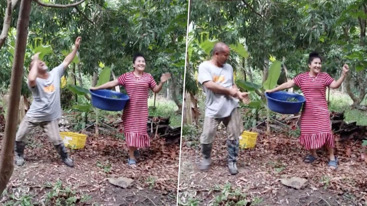 เข้าขากันดี! ลุงป้า เต้นท่าเก็บลิ้นจี่ โยกแรง เอวดี ไม่เกรงใจอายุ (คลิป)