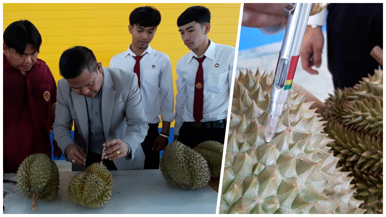 แห่ขอซื้อ เครื่องวัดความสุกทุเรียน นวัตกรรมฝีมือ 3 หนุ่มปวส.
