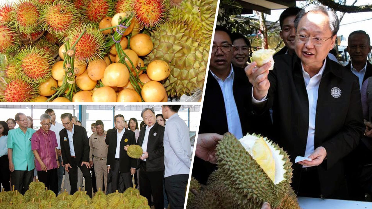 "สนธิรัตน์" รับมือผลไม้ภาคเหนือ-ใต้ ปริมาณ 1.2 ล้านตัน
