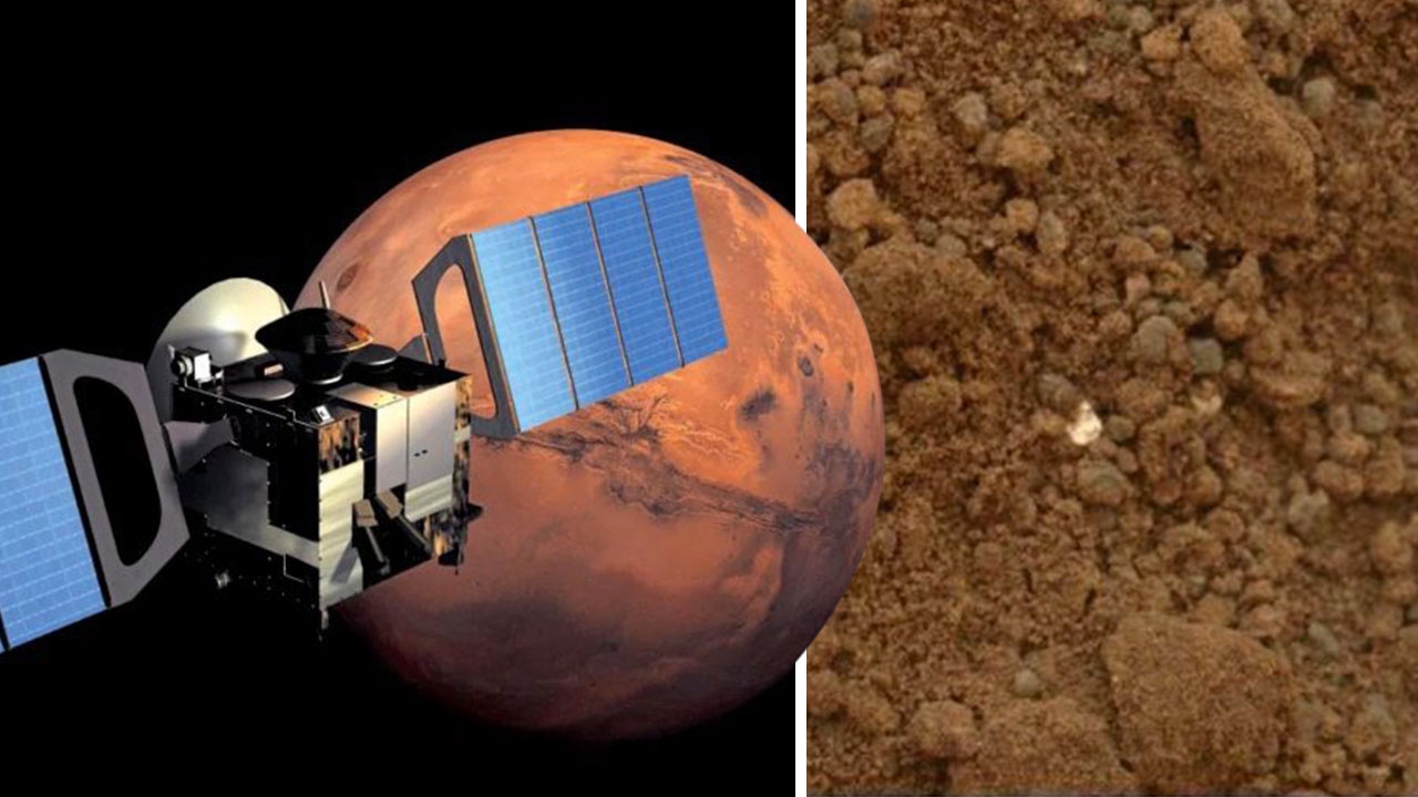 หวังค้นพบสิ่งมีชีวิตจากตัวอย่างดินดาวอังคาร