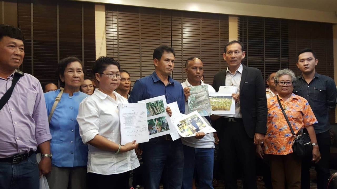 เกษตรกรร้องดีเอสไอ ถูกตุ๋นปลูกมันญี่ปุ่น เสียหายกว่า 5 ล้าน