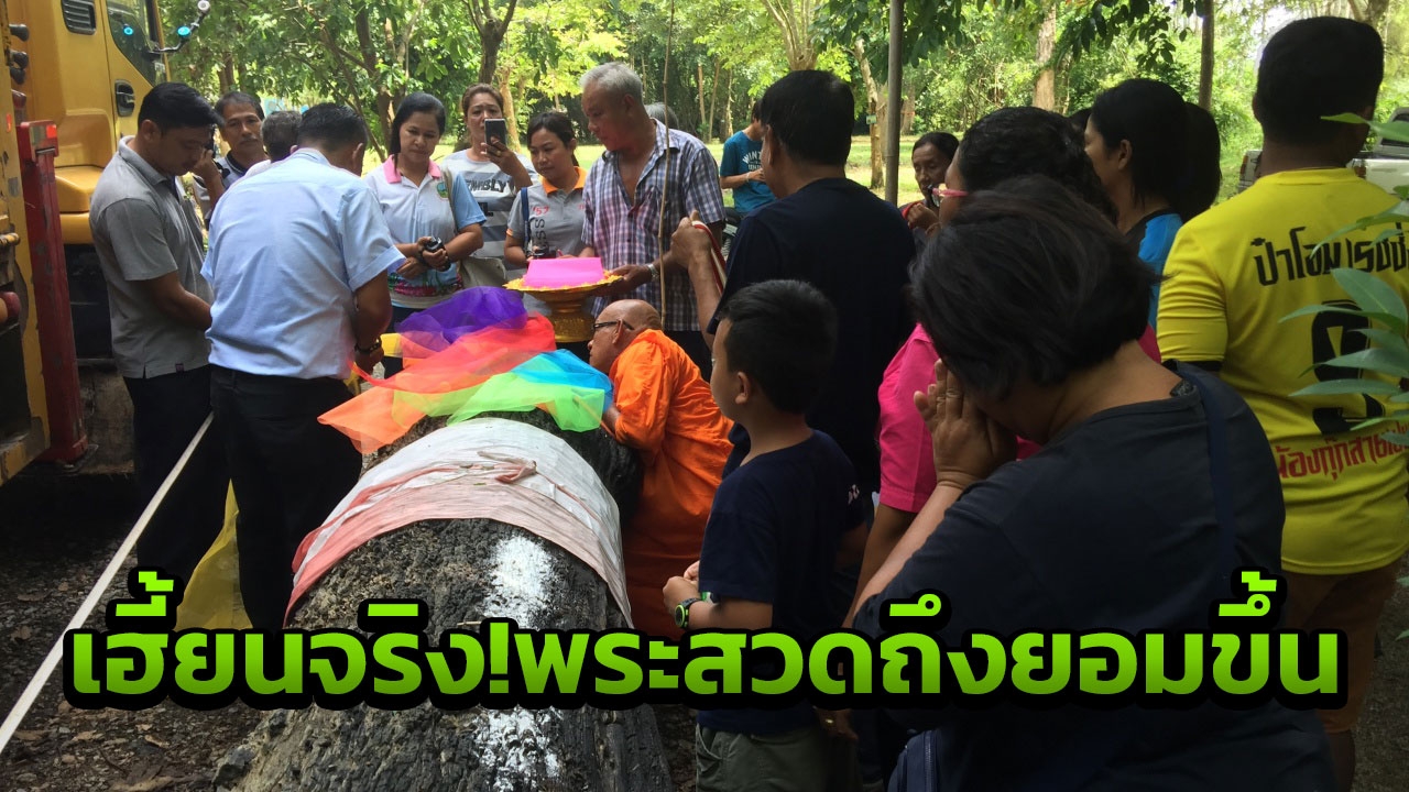 อาถรรพณ์เจ้าแม่ตะเคียน แบ็กโฮติดหล่ม 3วัน นิมนต์พระสวด ชาวบ้านแห่ขอเลข