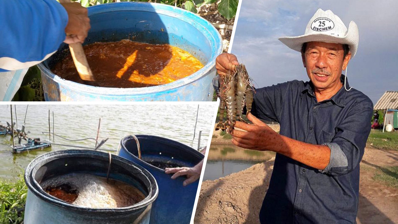 เกษตรกรดีเด่นเลี้ยงกุ้ง ใช้ ปม.1+พอเพียง