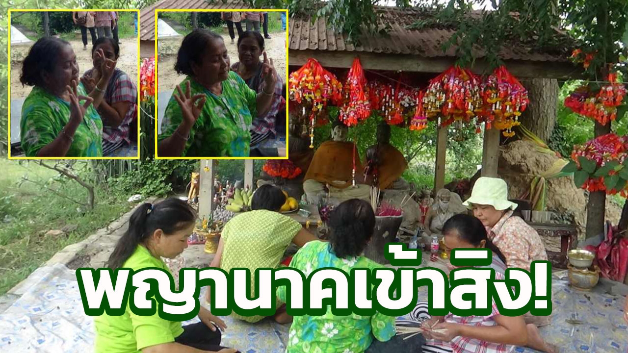    ป้า 68 ลุกขึ้นรำใบ้เลข เชื่อพญานาคโคกวัดกาไสย์ เข้าสิง!   