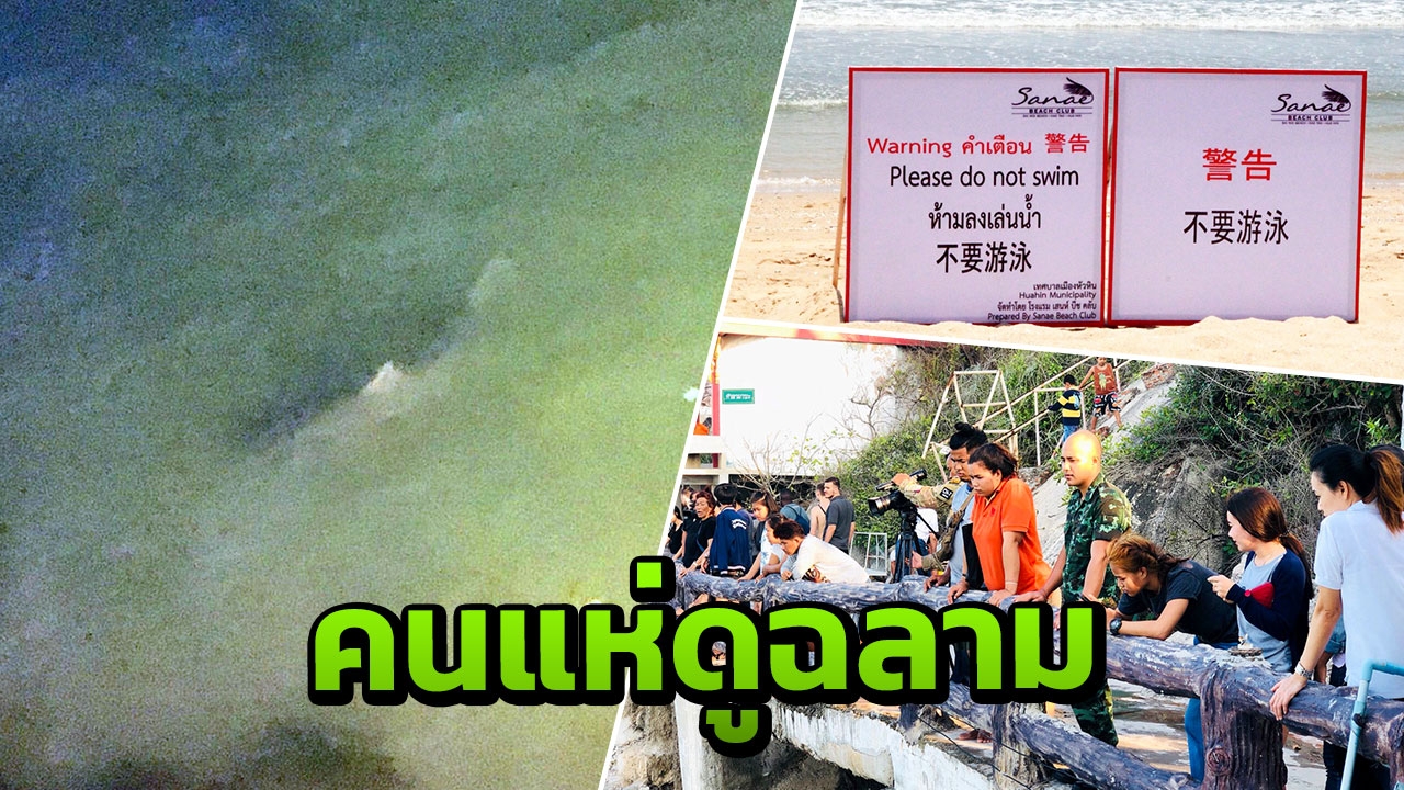 วิกฤติมีโอกาส! นักท่องเที่ยวแห่ดูฉลามหาดทรายน้อยที่วัดถ้ำเขาเต่า