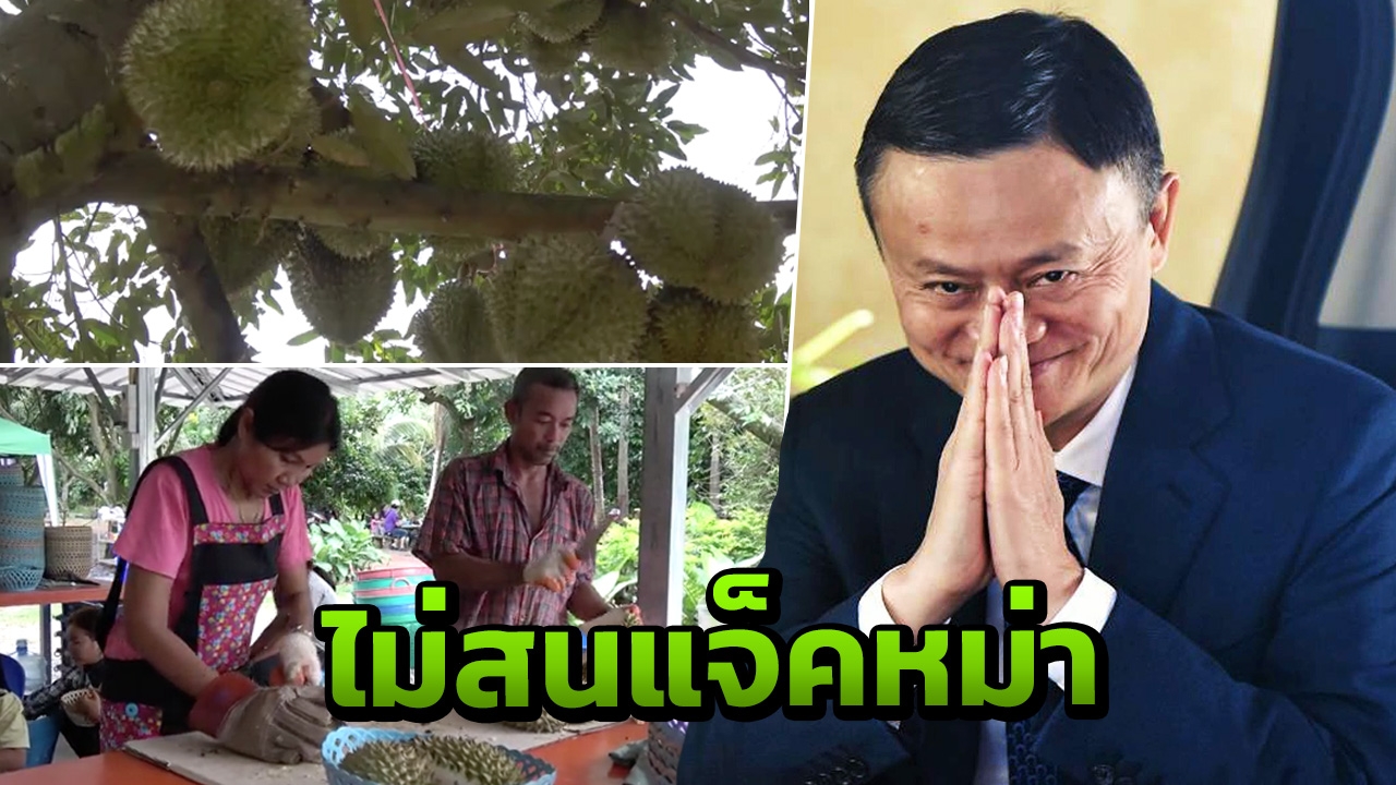 ชาวสวนระยองชี้ คนทั่วโลกรู้จักทุเรียน ไม่ต้องพึ่งแจ็คหม่าก็ขายได้
