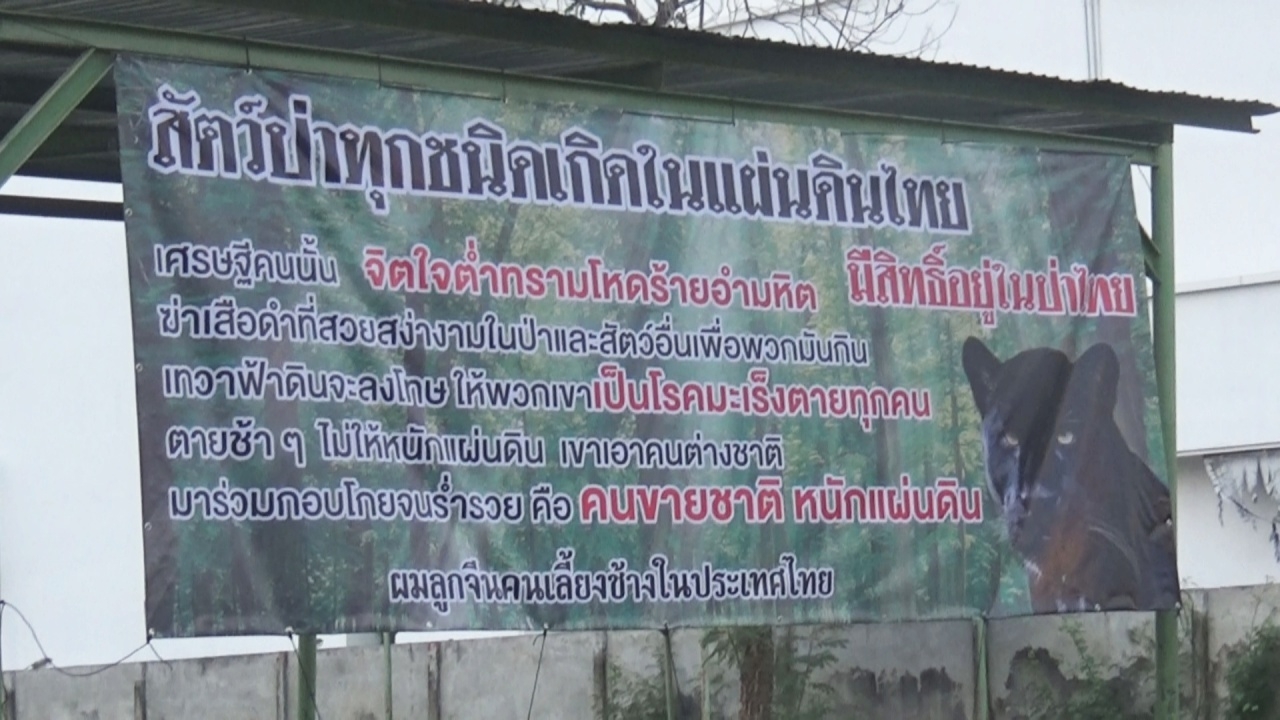 ฟ้าดินจะลงโทษไม่ให้อยู่หนักแผ่นดิน! เฒ่าพิษณุโลก ขึ้นป้ายแช่งคนยิงเสือดำ