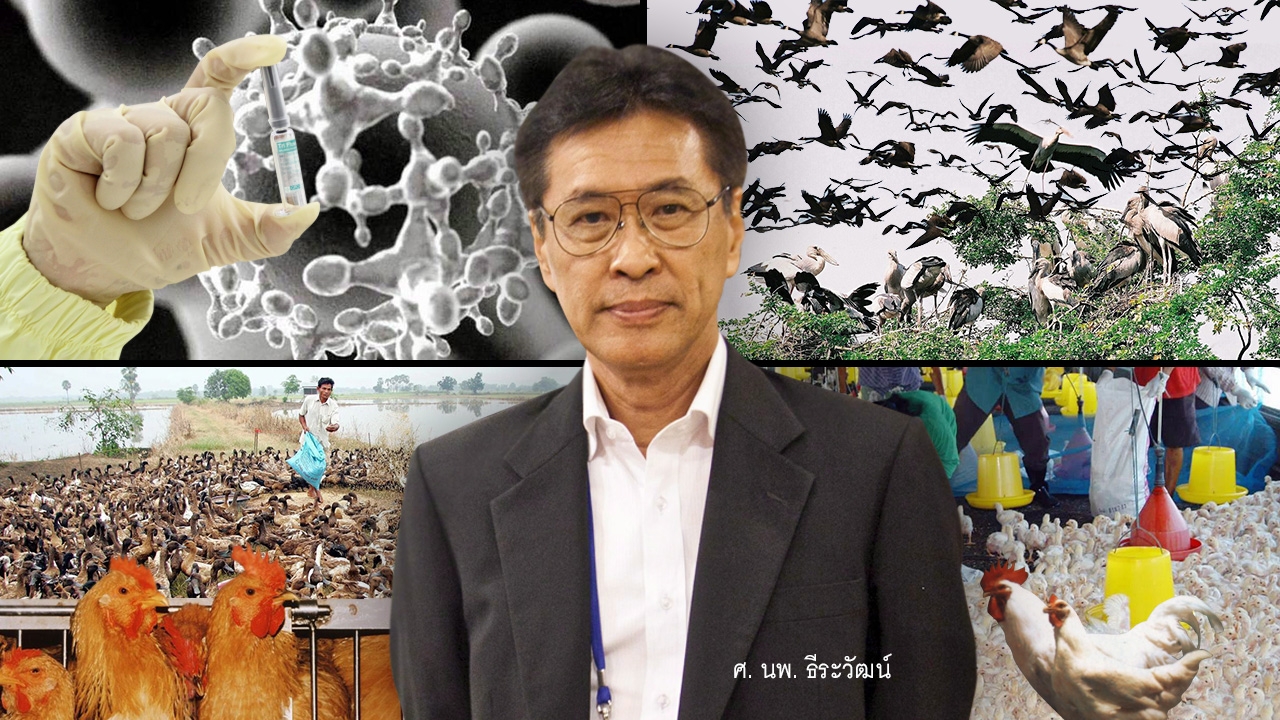 ระวัง!ไข้หวัดนก รับมือเชื้ออุบัติใหม่