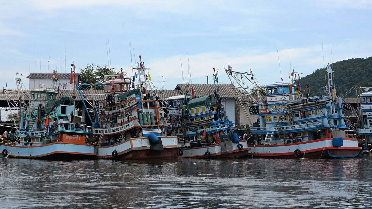 ไทยวิกฤติหนักขาดวัตถุดิบแปรรูป เรือประมงจอดสนิทไม่จับปลา