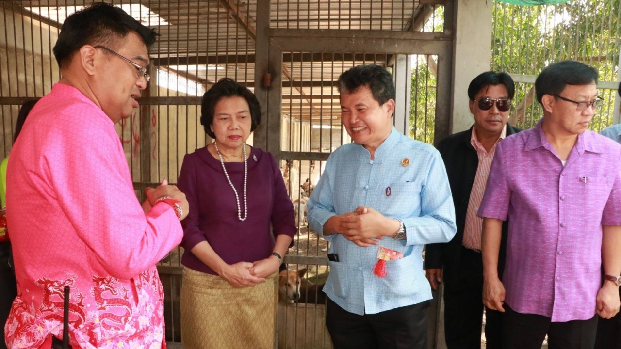 สถ.เล็งหนุน 'ศูนย์พึ่งพิงสุนัขจรจัดคลอง 12' เป็นต้นแบบ อปท.ช่วยสังคม