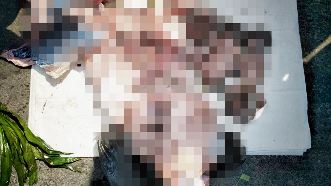 พบชายต้องสงสัย ขี่ฮอนด้าเวฟ หิ้วถุงดำซุกทารก 4 ศพ ทิ้งถังขยะที่หัวหิน