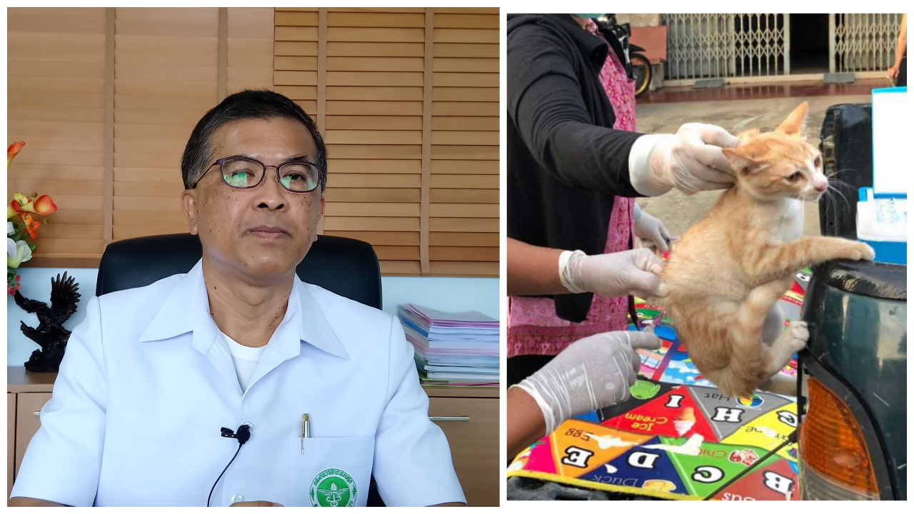 สรุป ลุงหัวหิน ถูกแมวกัด ตายด้วยพิษสุนัขบ้า ชี้แค่ถูกเลียก็ติดเชื้อได้ 
