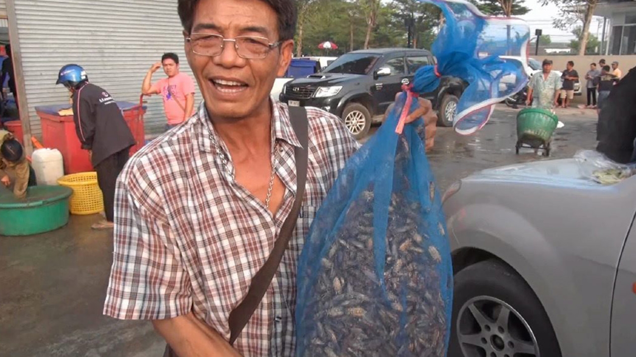 “จักจั่น” เมนูเด็ดขึ้นชื่อตลาดโรงเกลือ