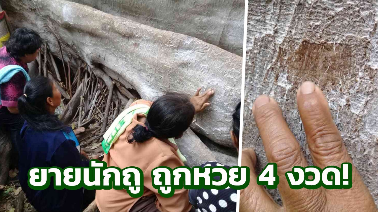 นาคน้อยชิดซ้าย ยายมาแรง ถูต้นชะโนด ถูกหวย 4 งวดติด!