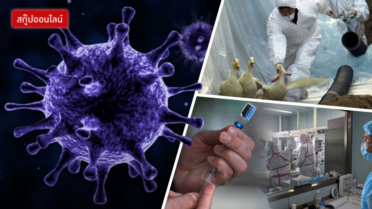เตือนระวัง ไวรัสไข้หวัดใหญ่มรณะ ระบาด พร้อมคร่า 300 ล้านคนทั่วโลก