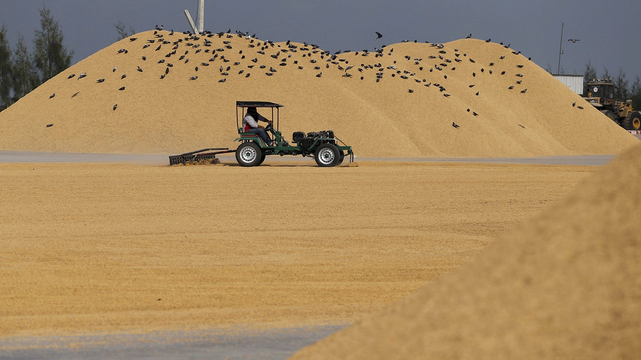 “หอมมะลิไทย” เกลี้ยงตลาด ผู้ค้าแห่ซื้อข้าวเพื่อนบ้านส่งออกรักษาฐานลูกค้า