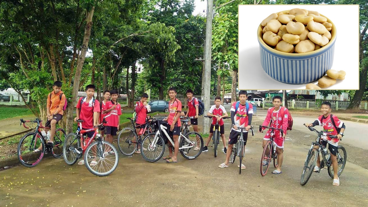 รู้จักโรคแพ้ ถั่วปากอ้า โรคประจำตัวเด็กหนึ่งในทีมหมูป่า