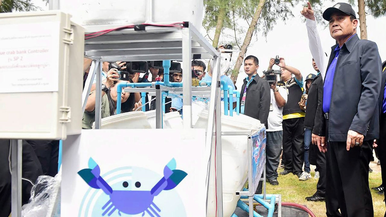 ปล่อยปู