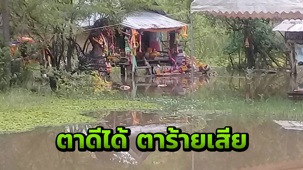 น้ำท่วม ศาลปู่ศรีสุทโธ แต่คนยังแน่น ส่องขันน้ำมนต์ รังผึ้ง หาเลขเด็ด