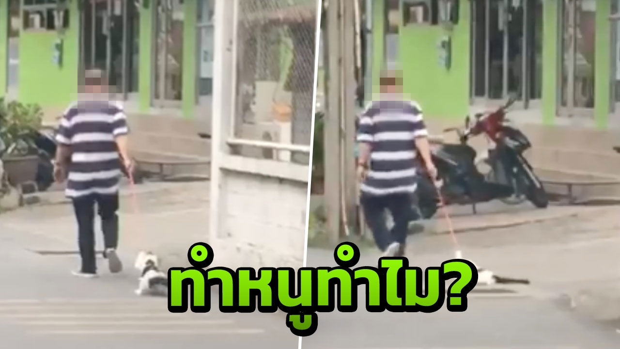 ร้องเจ็บปวด! แมวถูกชายลากไปตามถนน จี้ ตร. เชิญตัวให้ปากคำ (คลิป)