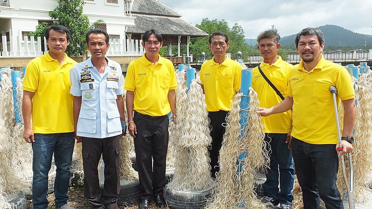 เกาะช้างทำ “ซั้งเชือก” อภิบาลสัตว์น้ำ