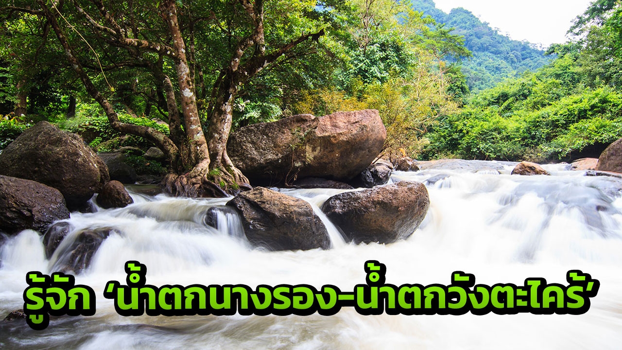 เทคนิค การ เล่น หวย ยี่ กี ให้ ได้ กํา ไร