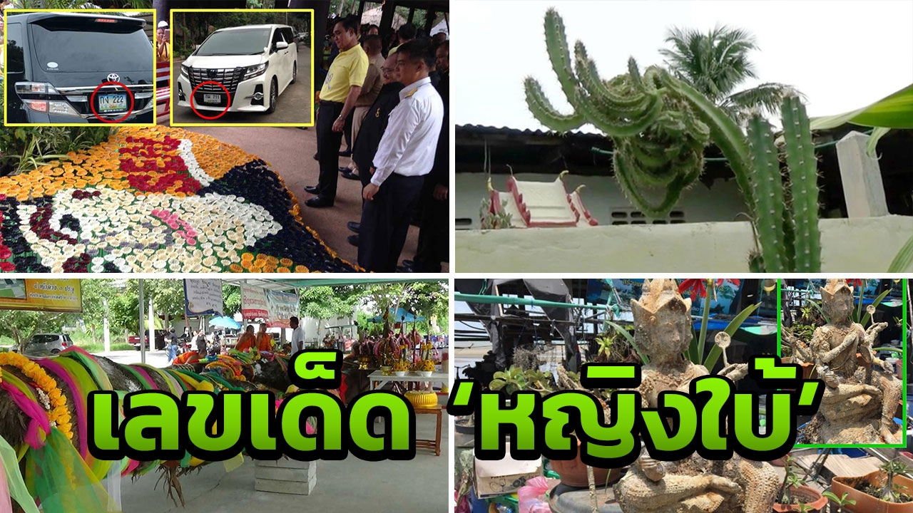 เลขเด็ดหญิงใบ้ รวมหวยดังจากทั่วไทย ไม่รวยไม่ได้แล้ว!