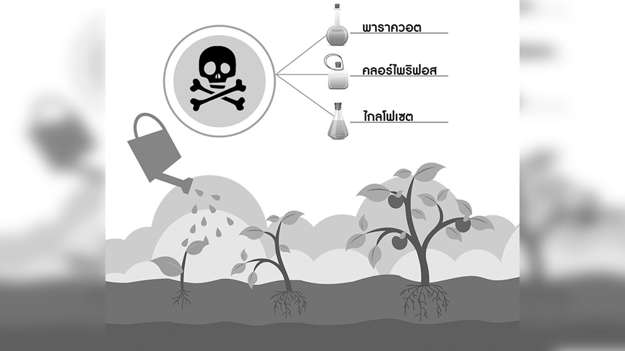 คลี่ปมสารเคมีเกษตร