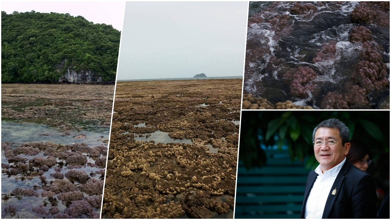 กูรูภัยพิบัติ ไขข้อข้องใจ!! น้ำทะเลลดฮวบ หรือไทยจะเกิดสึนามิ?