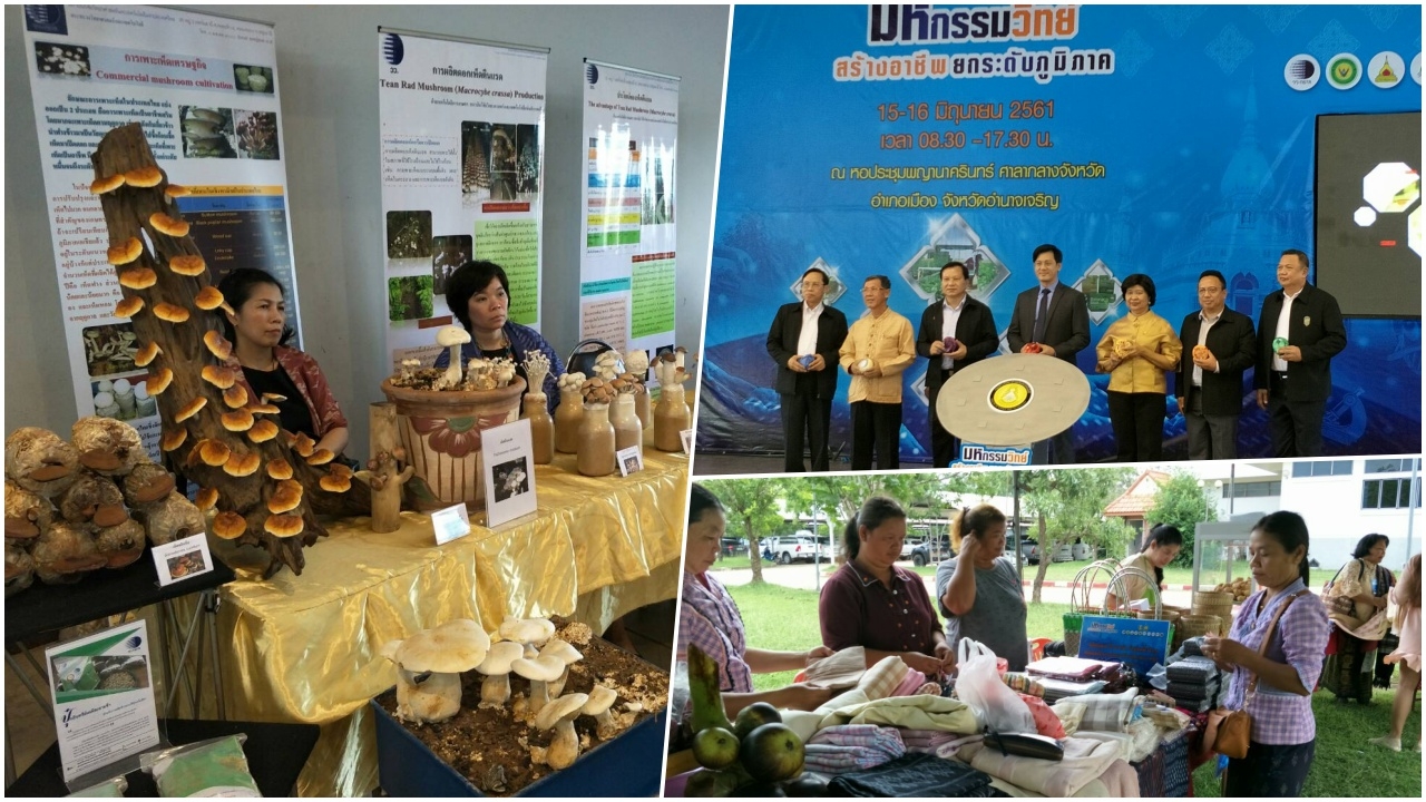 ลุยอำนาจเจริญแก้จน จัดมหกรรมวิทย์สร้างอาชีพฯ เสริมแกร่งโอทอป