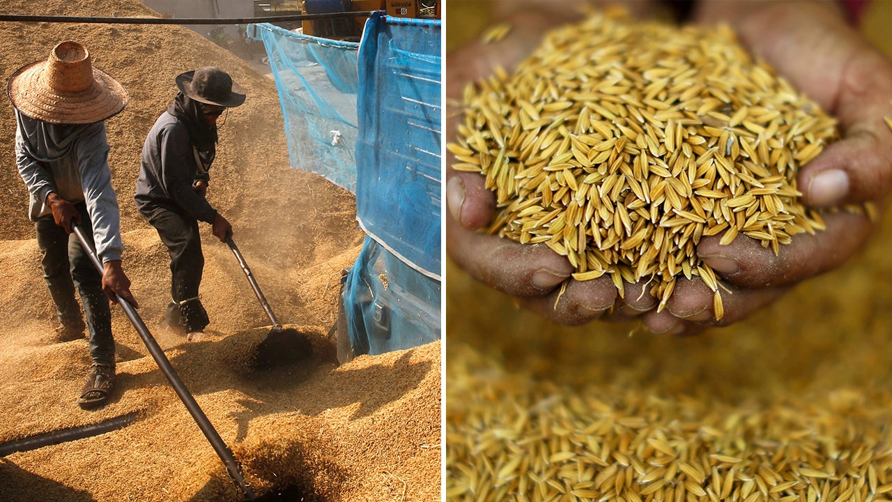 "เทสโก้ โลตัส" รับซื้อข้าว