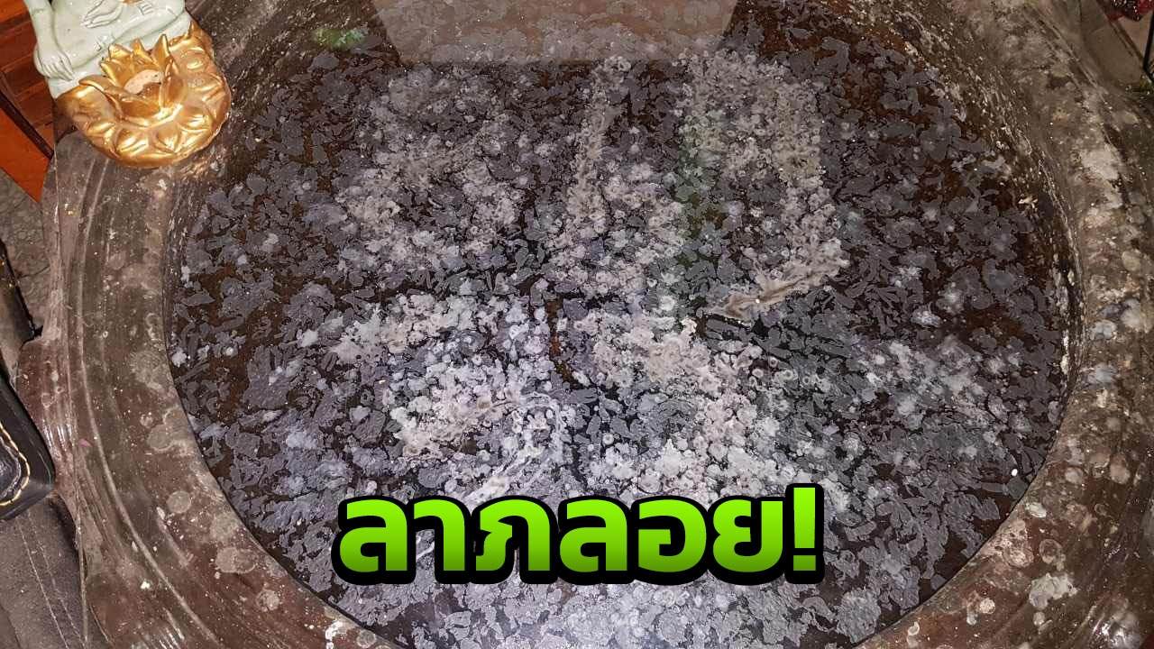 เลข ตาทอง ยังขลัง! ลอยในอ่าง คอหวยชี้ เห็นตัวไหนซื้อตัวนั้น
