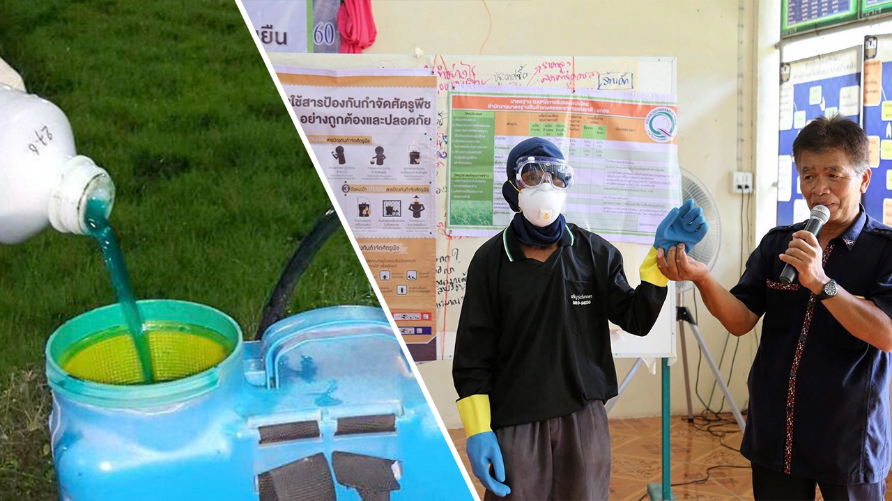 ข้อเท็จจริงทางวิทยาศาสตร์และ หลักฐานเชิงประจักษ์ของสารเคมี กำจัดศัตรูพืช (ตอน 2)