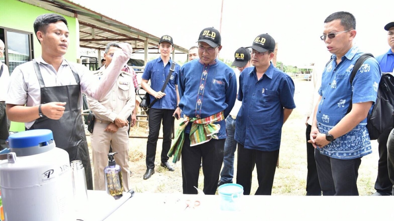 เดินหน้าโครงการโคขุน ในเขตปฏิรูปที่ดินปางศิลาทอง