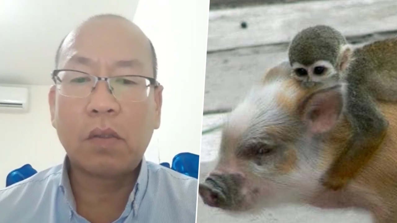 'อัจฉริยะ' เล่านิทานหมูแก่กับชะนีตัวร้าย วีรกรรมเยอะ เนื้อหาคล้ายคดีดัง