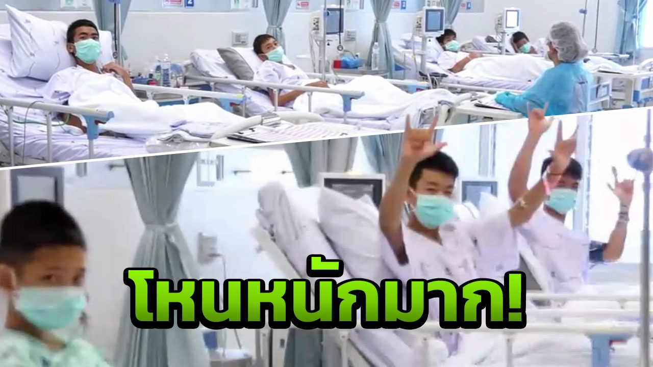 เรียกร้องรัฐคุ้มครองหมูป่า อย่าปล่อยเผชิญแร้ง ไฮยีน่า โหนกระแส