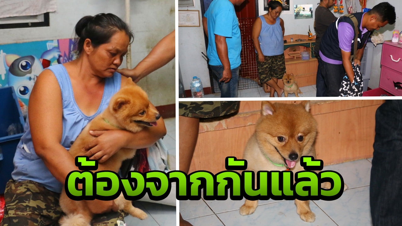 'จำใจจาก' น้องหมาสุดเศร้านั่งเฝ้าไม่ห่าง เจ้าของถูกพรากค้ายาบ้าติดคุก